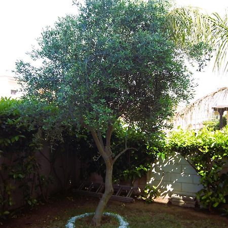 Vila Casa Ulivo Pulsano Exteriér fotografie
